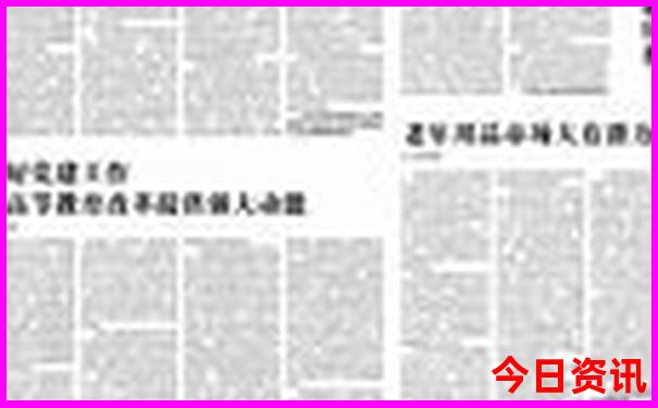2025年生肖表排码表图